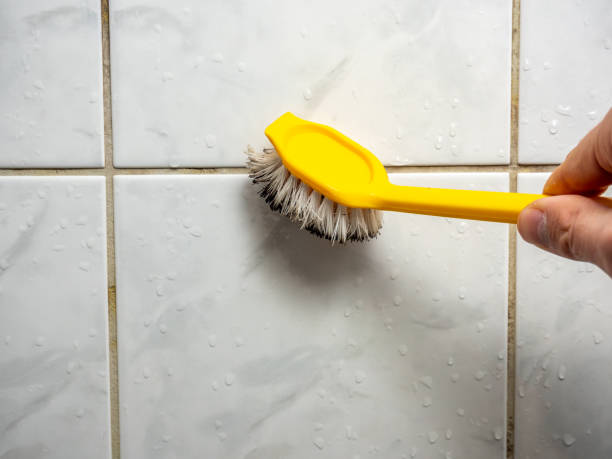 Best Water Damage Restoration  in Corning, AR