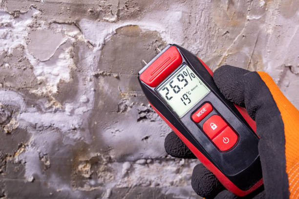 Best Mold Testing  in Corning, AR