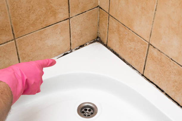 Best Crawl Space Mold Removal  in Corning, AR